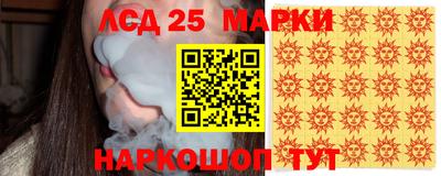 стаф Сланцы