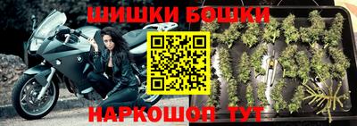 стаф Сланцы