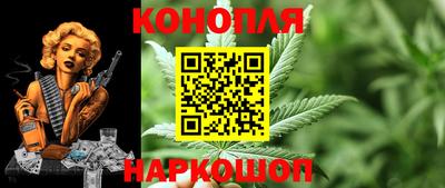 стаф Сланцы
