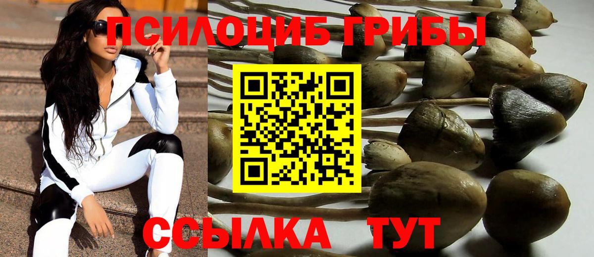 Псилоцибиновые грибы мухоморы Великие Луки